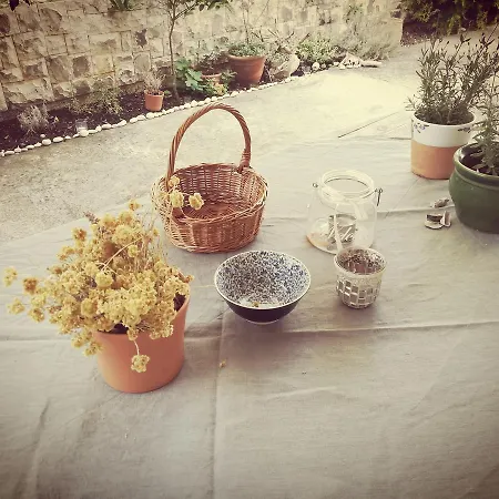 Salvia Apartmán Trogir